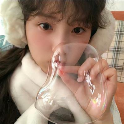 老鼠和他的孩子